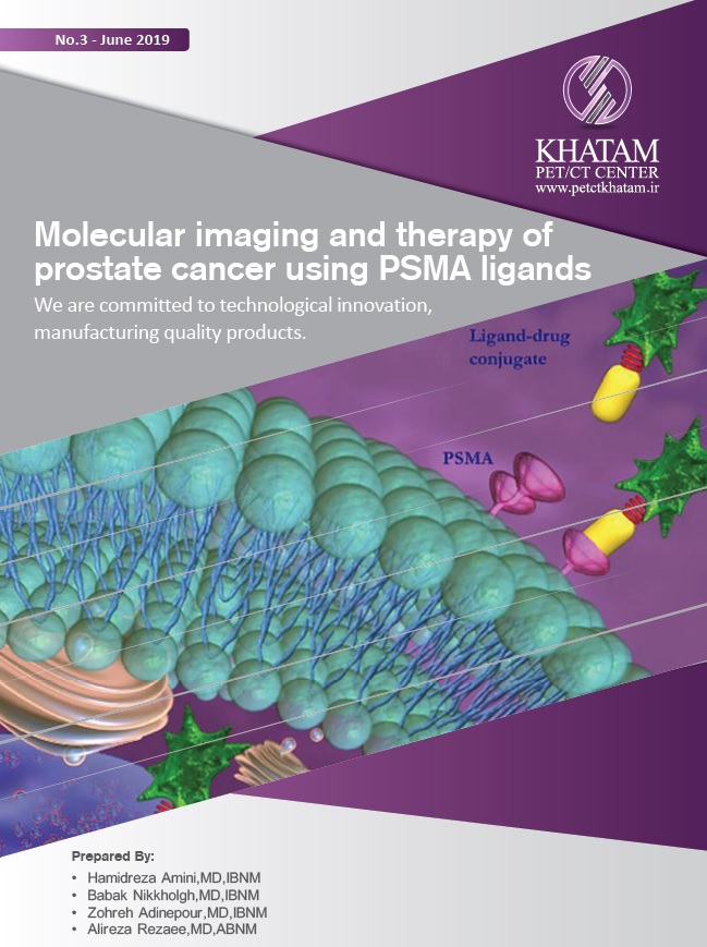 Molecular imaging and therapy of prostate cancer using PSMA ligands, No. 3, June 2019